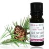 Eclat et Lumiere Aromazone