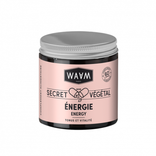 WAAM - Capsules Energie